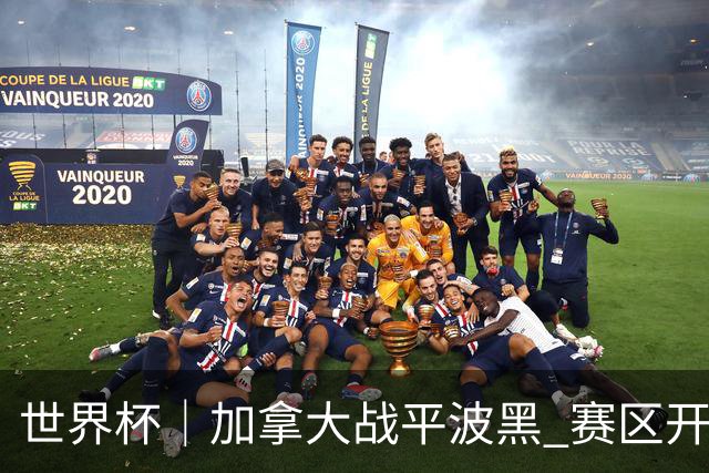 世界杯｜加拿大战平波黑 赛区开幕式表演“翻车”
