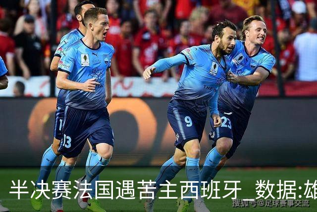 半决赛法国遇苦主西班牙 数据:雄鸡赢球破心魔