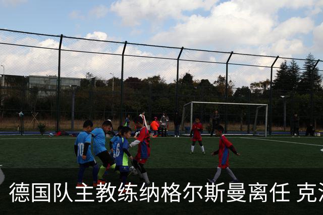 德国队主教练纳格尔斯曼离任 克洛普有望接手