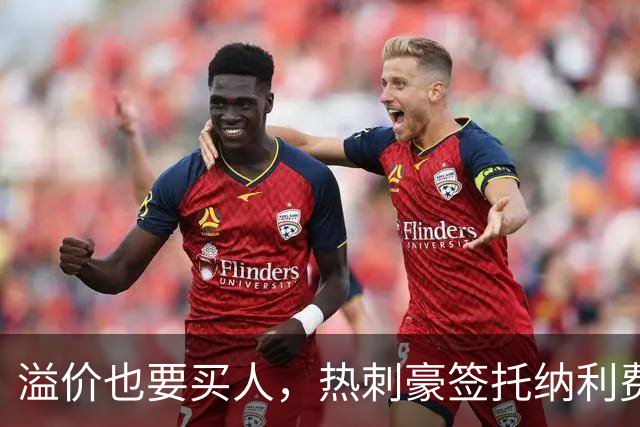 溢价也要买人，热刺豪签托纳利费尔南德斯，凯恩回归迎来关键契机